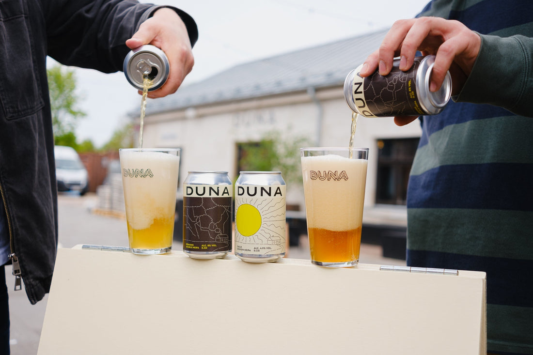 No alus dāritāvas līdz ekosistēmai — DUNA stāsts