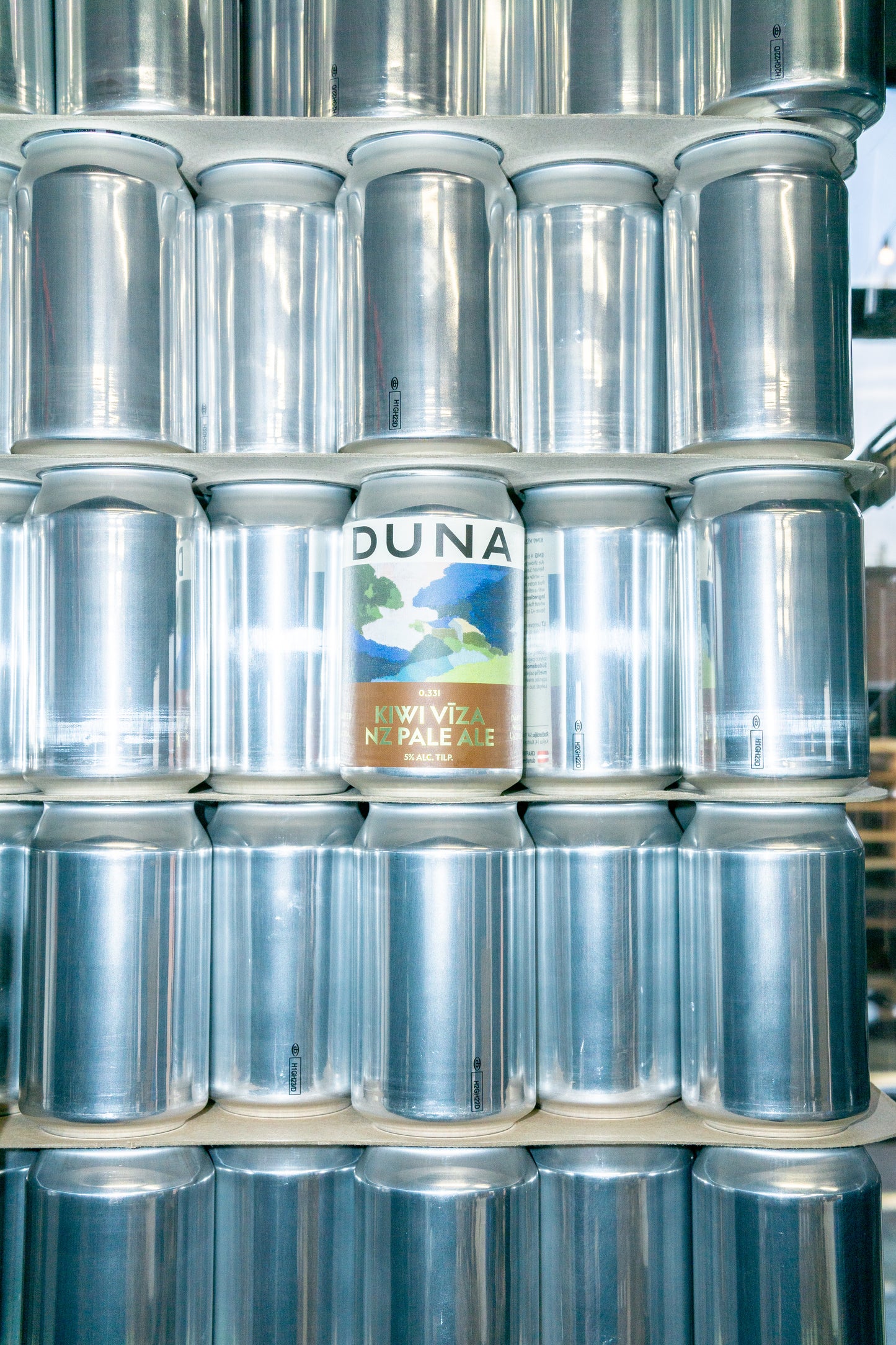 KIWI VĪZA — New Zealand Pale Ale no DUNA Brewery (Kuldīga, Latvija)
