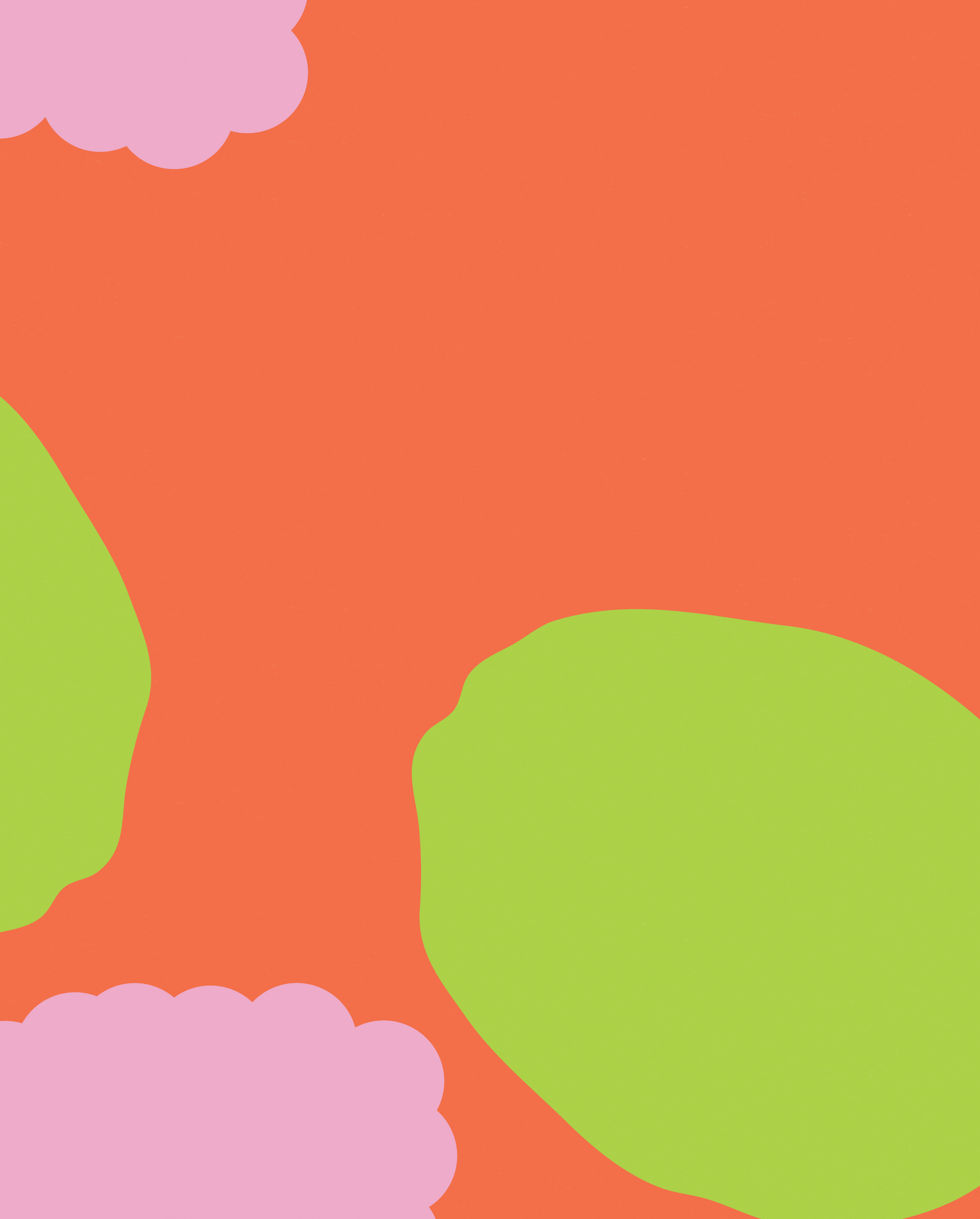 RASPBERRY&LIME (botanical soft drink)