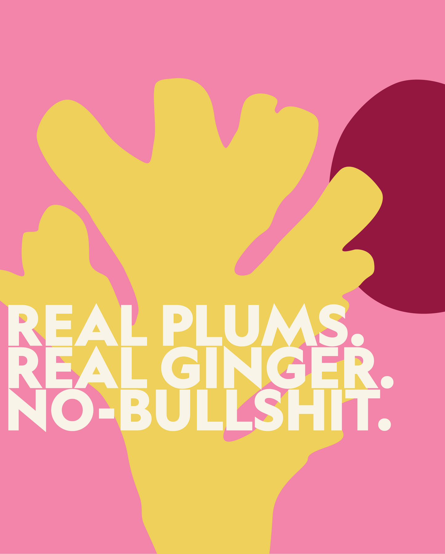 PLUM & GINGER (botanical soft drink)