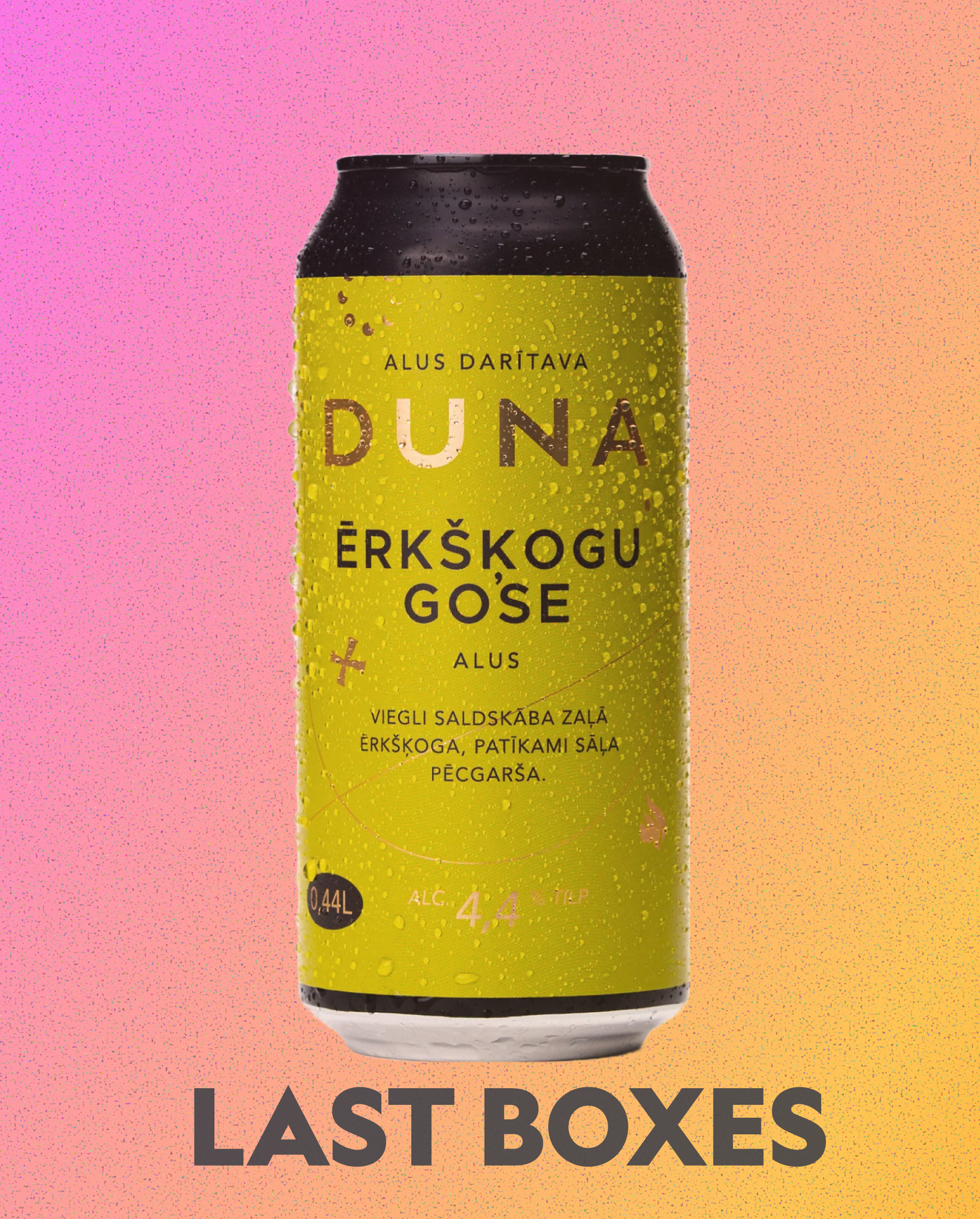 KASTE (24 gab.) ĒRKŠĶOGU GOSE (sarkanās un zaļās ērkšķogas) 4.4%